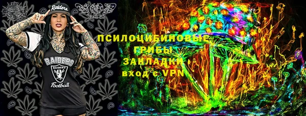 соль ск Кодинск