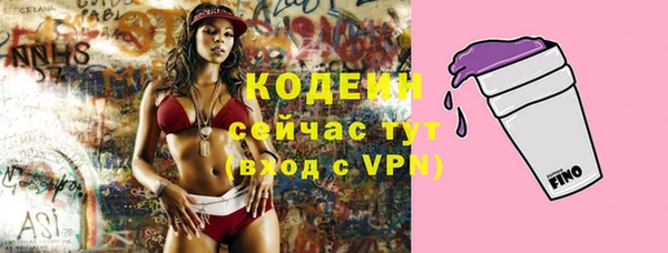 соль ск Кодинск