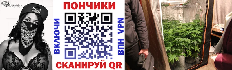 Каннабис Amnesia  Купить где  Артёмовск 